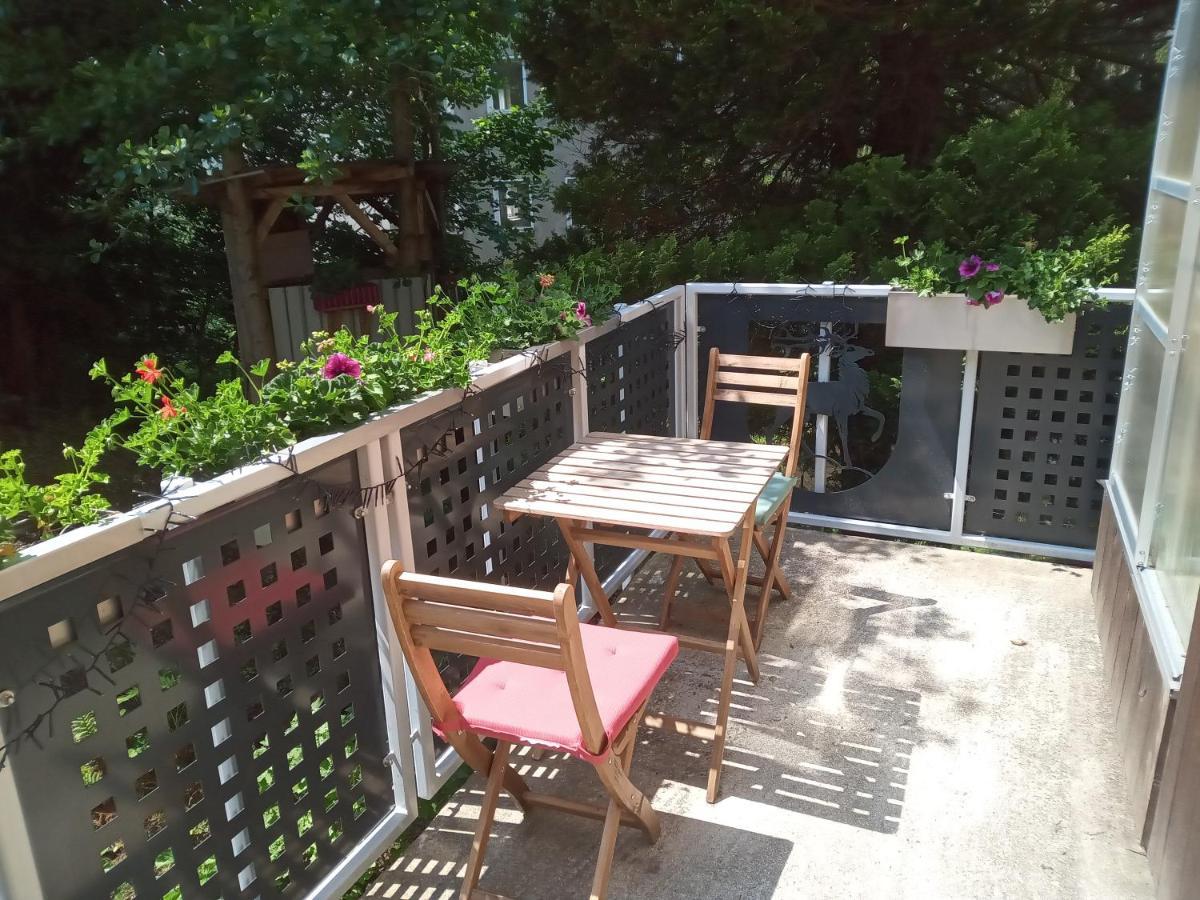 Ferienwohnung Zum Sebnitzer Hirsch Екстериор снимка